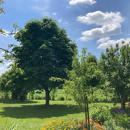住宿加早餐酒店 帕蒂斯鲁之家酒店 3*