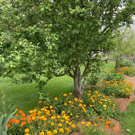 Logis Du Patis Roux 3* Nort-sur-Erdre (Loire-Atlantique)
