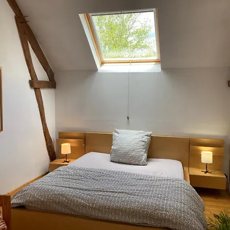 Bed & Breakfast Logis Du Patis Roux 3*