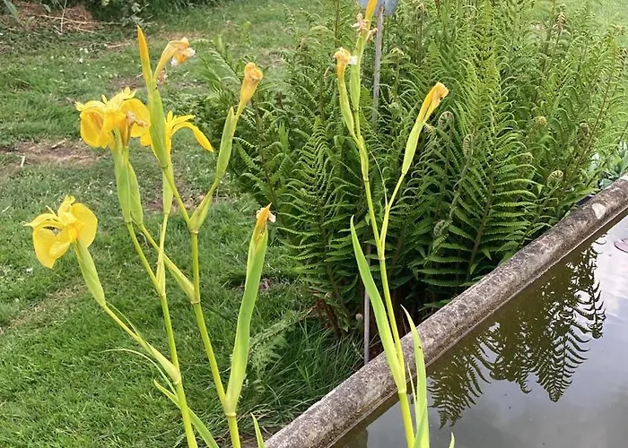 Logis Du Patis Roux Bed and Breakfast 3*